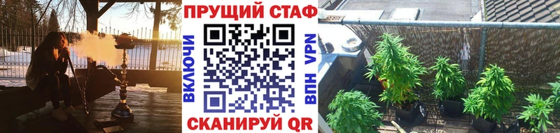 Как найти закладки Стародуб МЕФ 