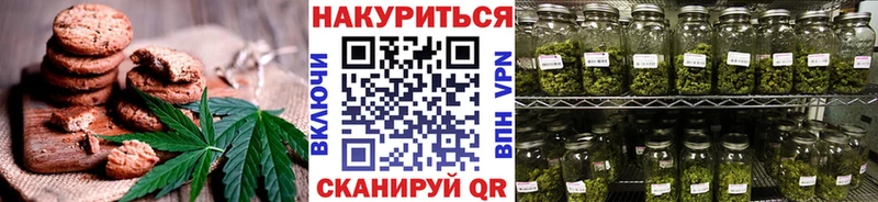где купить наркоту  OMG tor  Еда ТГК конопля  Стародуб 