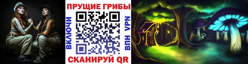 цена   Стародуб  blacksprut как зайти  Галлюциногенные грибы мухоморы 