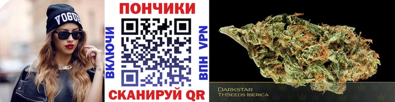 блэк спрут как зайти  Стародуб  Канабис тримм 